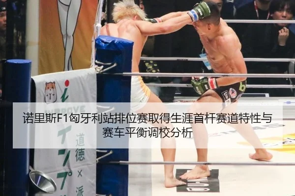 诺里斯F1匈牙利站排位赛取得生涯首杆赛道特性与赛车平衡调校分析
